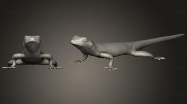 3D model Madagascar Gecko (STL)
